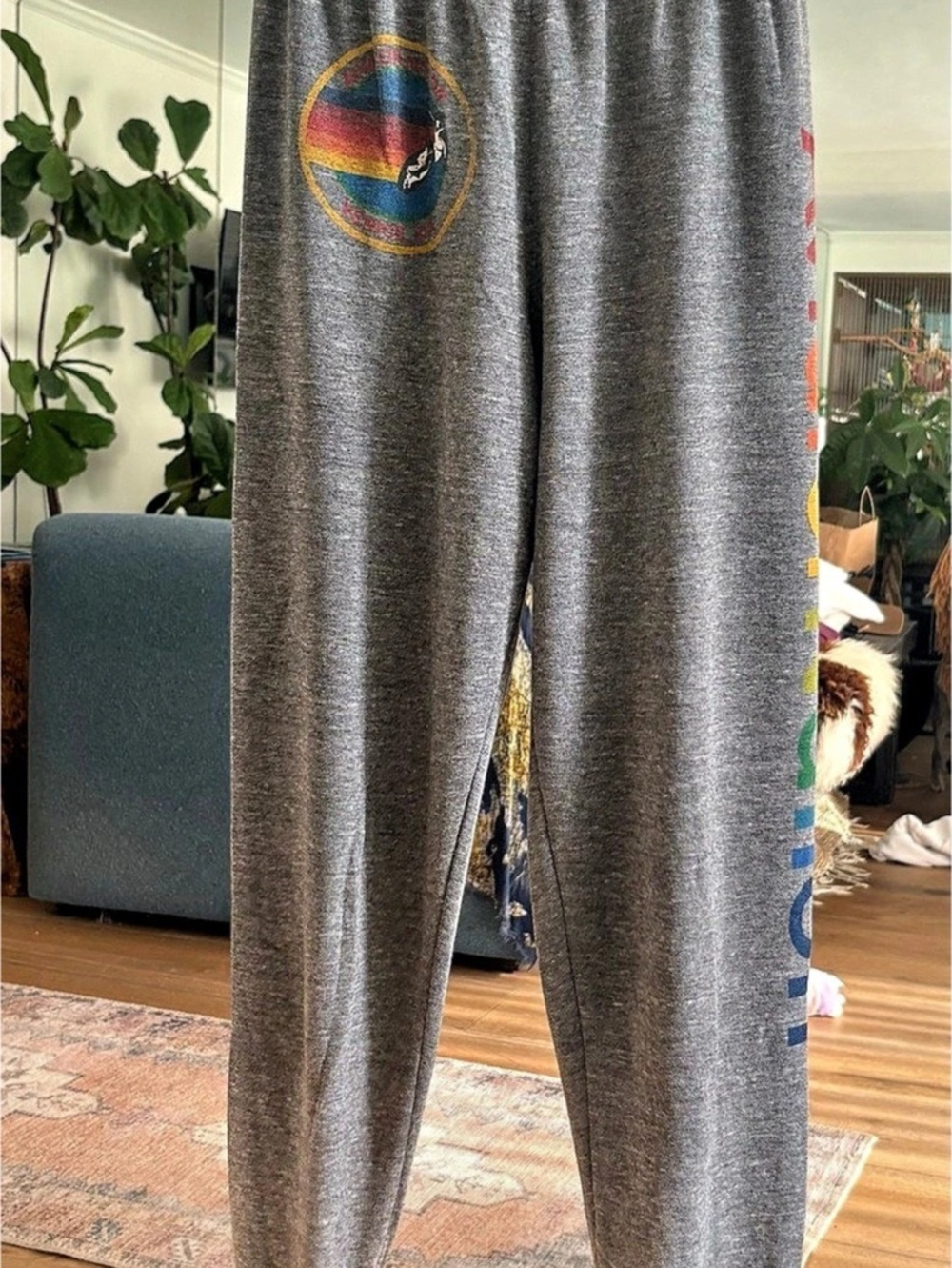 Aviator Nation Bolt Sweatpants Gray Graphic Jogger Pants